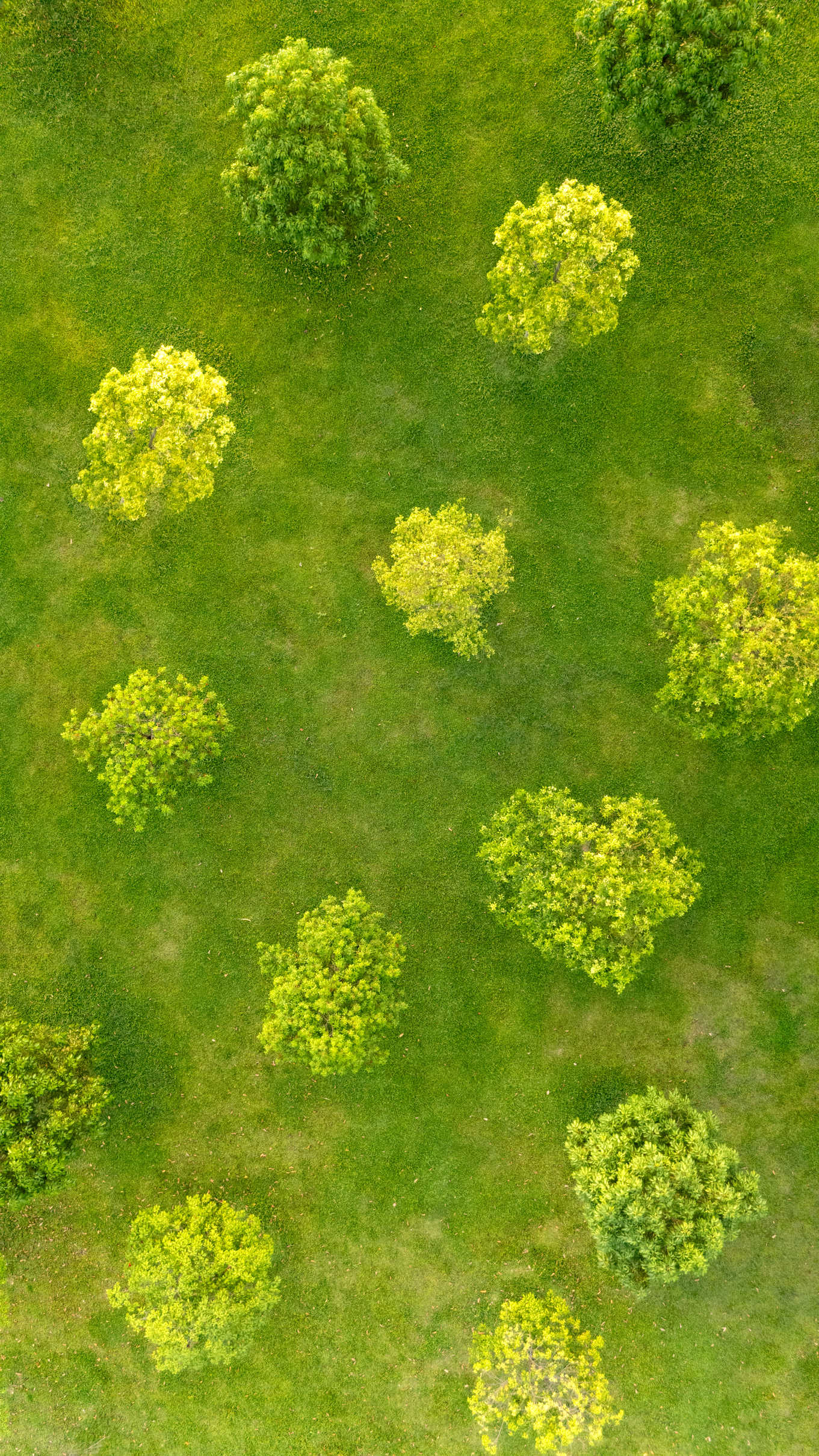 自然系列 DJI_20250809181551_0712_D